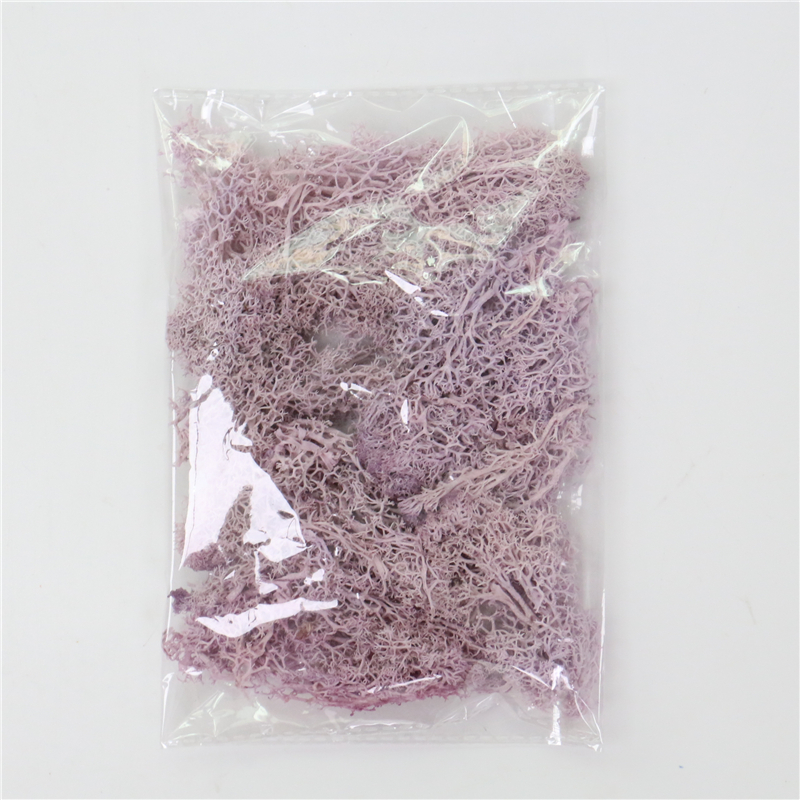 Musgo Artificial para Paisajismo - Musgo y Flores para Decoración y Floristería