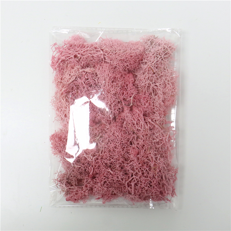 Musgo Artificial para Paisajismo - Musgo y Flores para Decoración y Floristería