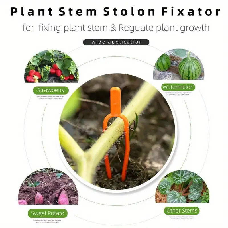 Pinzas De Plástico De Soporte Para Plantas De Jardín Para Una Estabilidad Óptima De Las Plantas