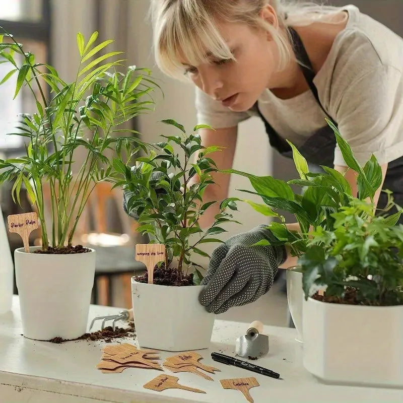 Etiquetas De Madera Para Plantas Para El Jardín Y El Balcón - Etiquetas Regrabables Para Hierbas Y Plantas