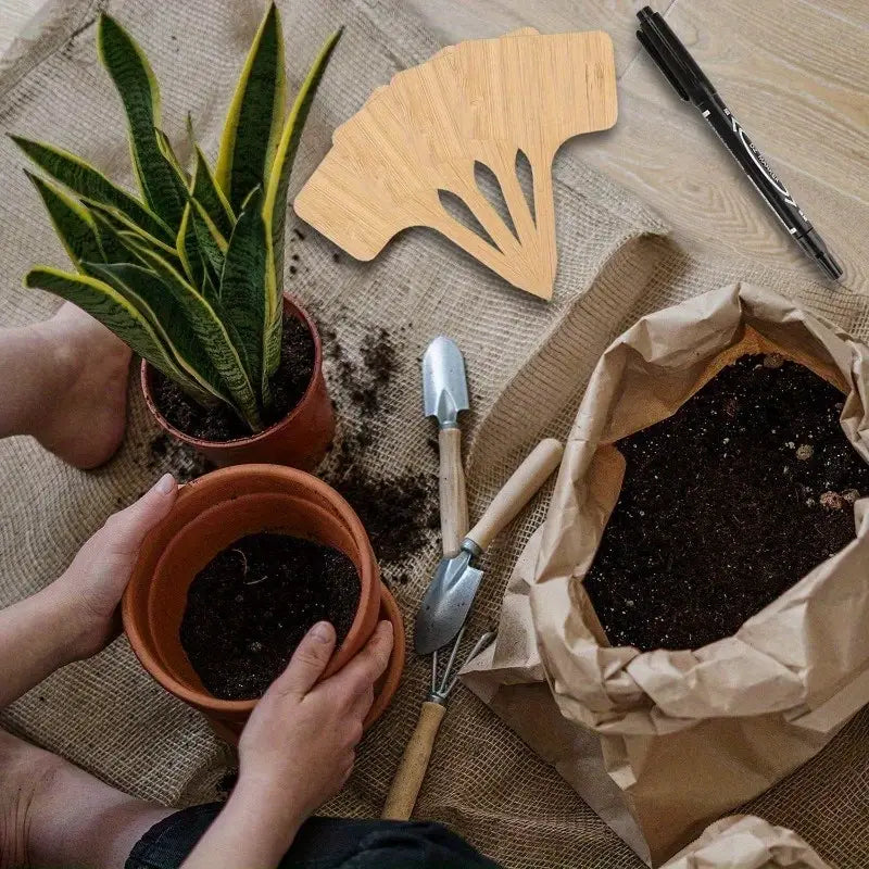 Etiquetas De Madera Para Plantas Para El Jardín Y El Balcón - Etiquetas Regrabables Para Hierbas Y Plantas