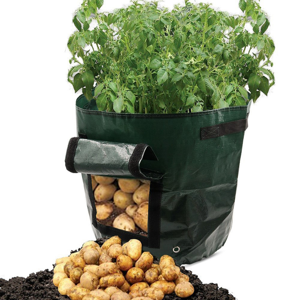 Bolsa de Plantación para Patatas - Reutilizable y con Ventana