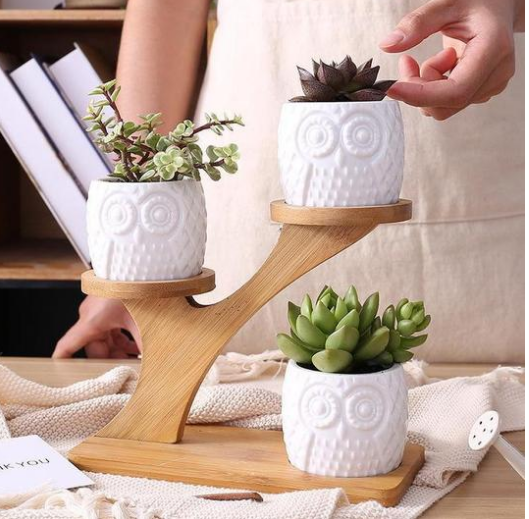 Macetero Decorativo de Madera - Macetas con Diseño de Búho para Suculentas y Plantas de Interior