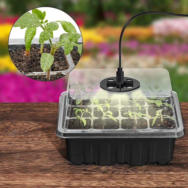 Set De Cultivo Con Luz - Set Completo Para El Cultivo Exitoso De Plantas Set De Cultivo Con Luz