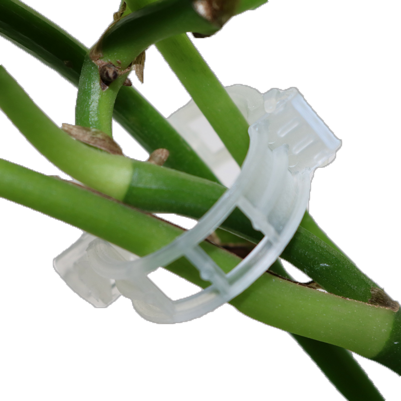 Pinza de Soporte para Plantas Trepadoras - Soporte Flexible para Tallos de Plantas Pinza de Soporte para Plantas Trepadoras