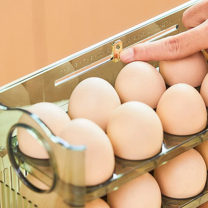 Práctico Organizador de Huevos