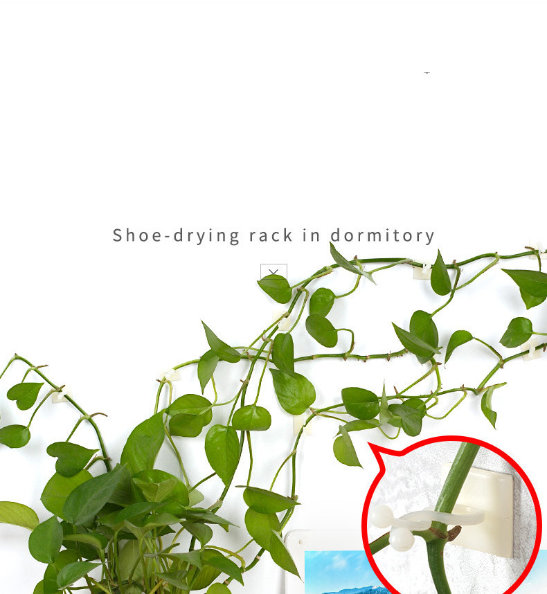 Pinzas de Sujeción a la Pared Trepadoras - Prácticos Soportes para Plantas para la Decoración de Paredes Pinzas de Sujeción a la Pared Trepadoras