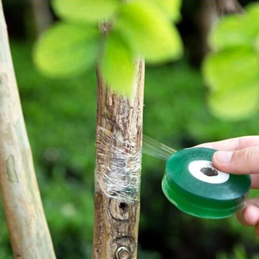 Cinta de Injerto para Plantas - Cinta de Injerto Autoadhesiva para Poda e Injerto