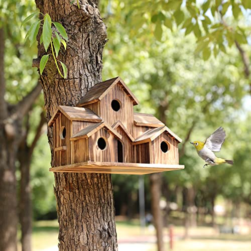 Casa para Pájaros Artesanal de 6 Agujeros