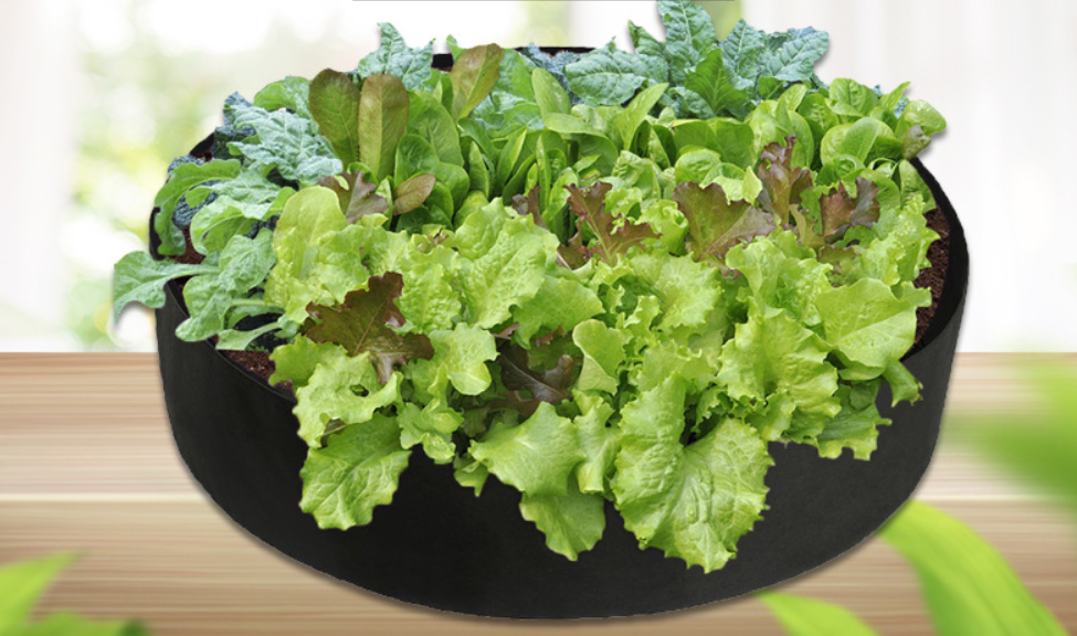 Bolsa Redonda Para El Crecimiento De Las Plantas - Contenedor De Jardín Para Facilitar El Crecimiento De Las Plantas Bolsa Redonda Para El Crecimiento De Las Plantas