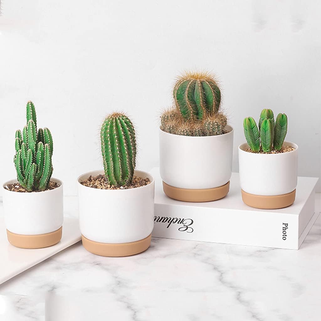 Maceta Autorriego para Orquídeas y Plantas - Maceta de Plástico Maceta Autorriego para Orquídeas y Plantas - Maceta de Plástico