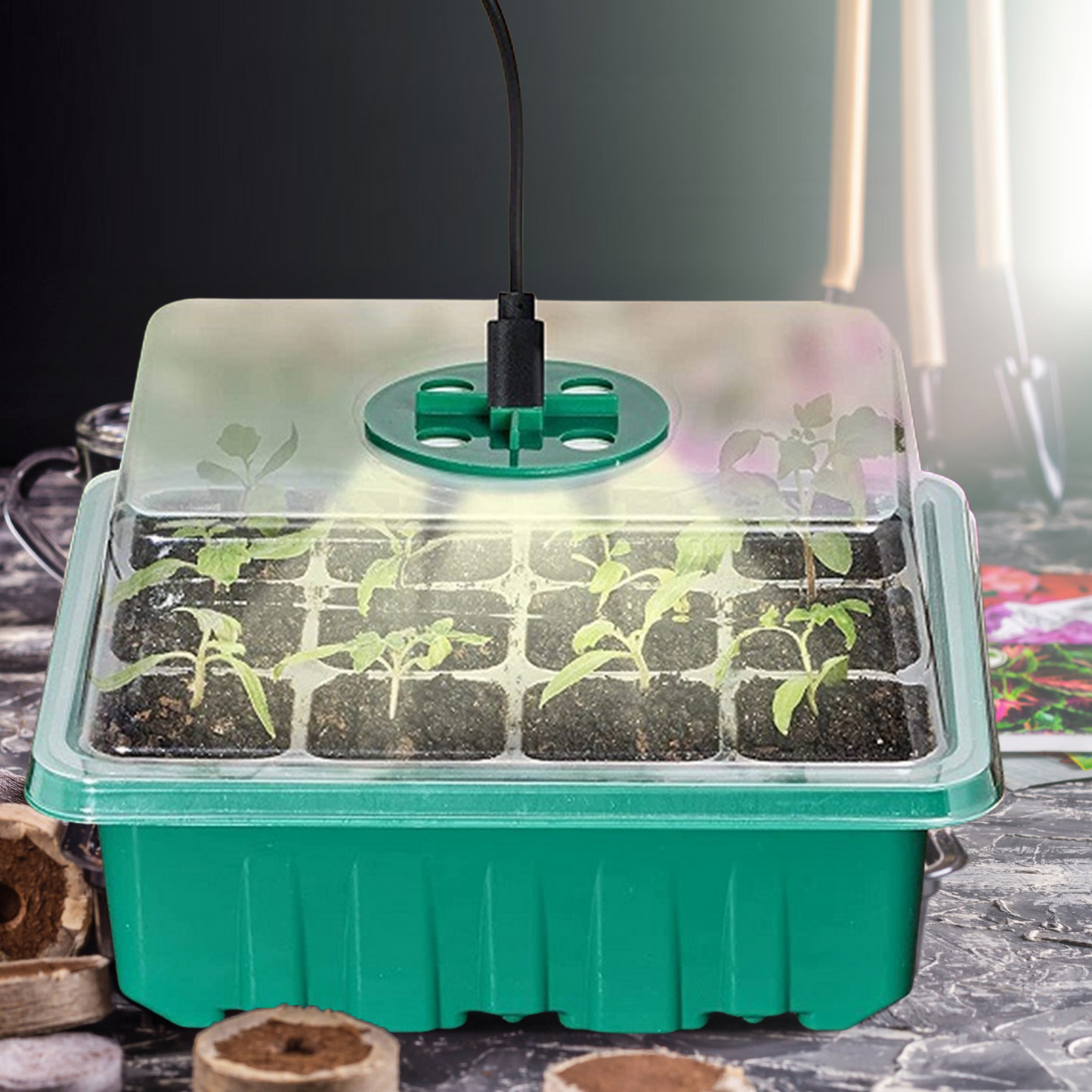 Set De Cultivo Con Luz - Set Completo Para El Cultivo Exitoso De Plantas Set De Cultivo Con Luz