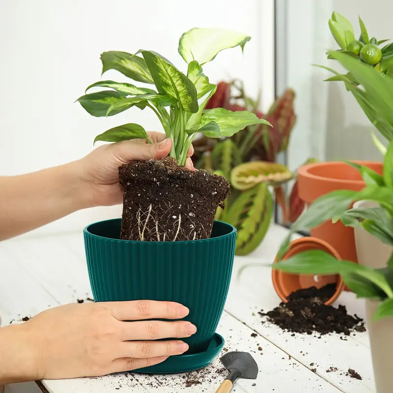 Maceta con Estructura Acanalada y Platillo - Maceta de Plástico Resistente para Plantas
