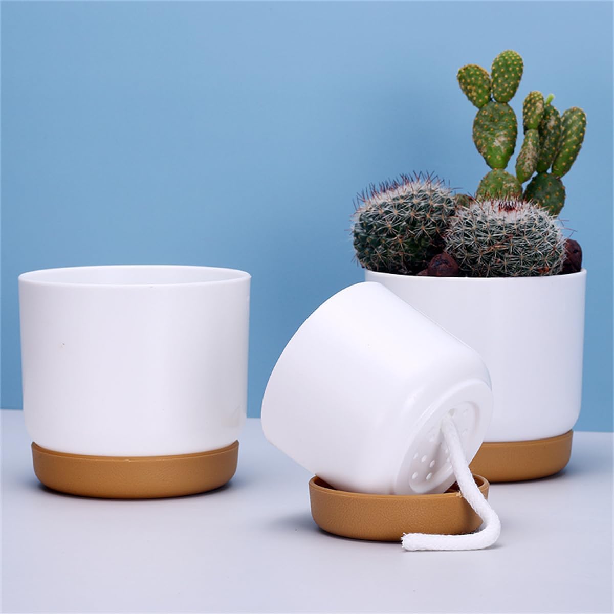 Maceta Autorriego para Orquídeas y Plantas - Maceta de Plástico Maceta Autorriego para Orquídeas y Plantas - Maceta de Plástico