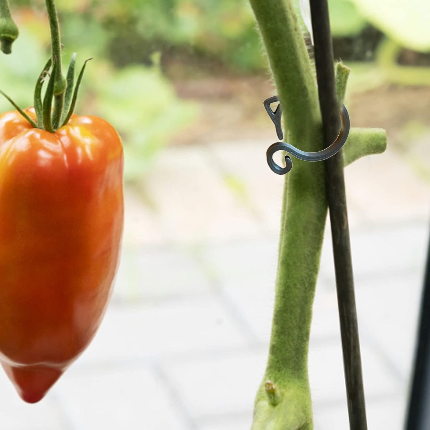 Pinza para Plantas con Forma de Gato - Simpático Soporte para Plantas de Jardín y de Interior