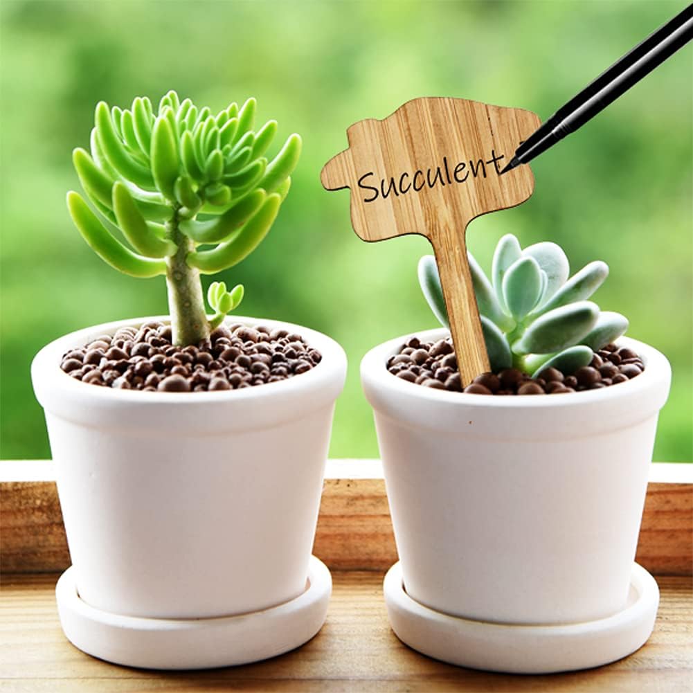 Etiquetas De Madera Para Plantas Para El Jardín Y El Balcón - Etiquetas Regrabables Para Hierbas Y Plantas
