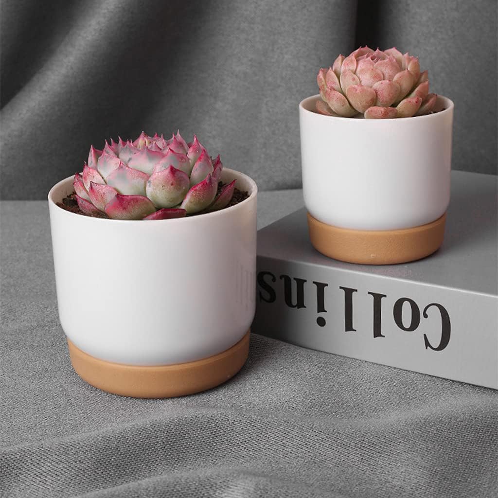 Maceta Autorriego para Orquídeas y Plantas - Maceta de Plástico Maceta Autorriego para Orquídeas y Plantas - Maceta de Plástico