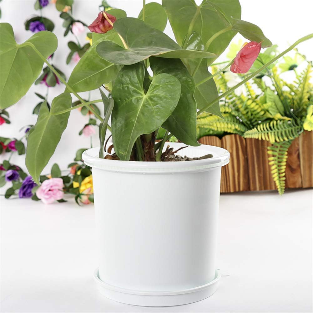 Maceta de Control de Raíces Transpirable para Plantas - Ideal para un Crecimiento Sano y una Ventilación Óptima