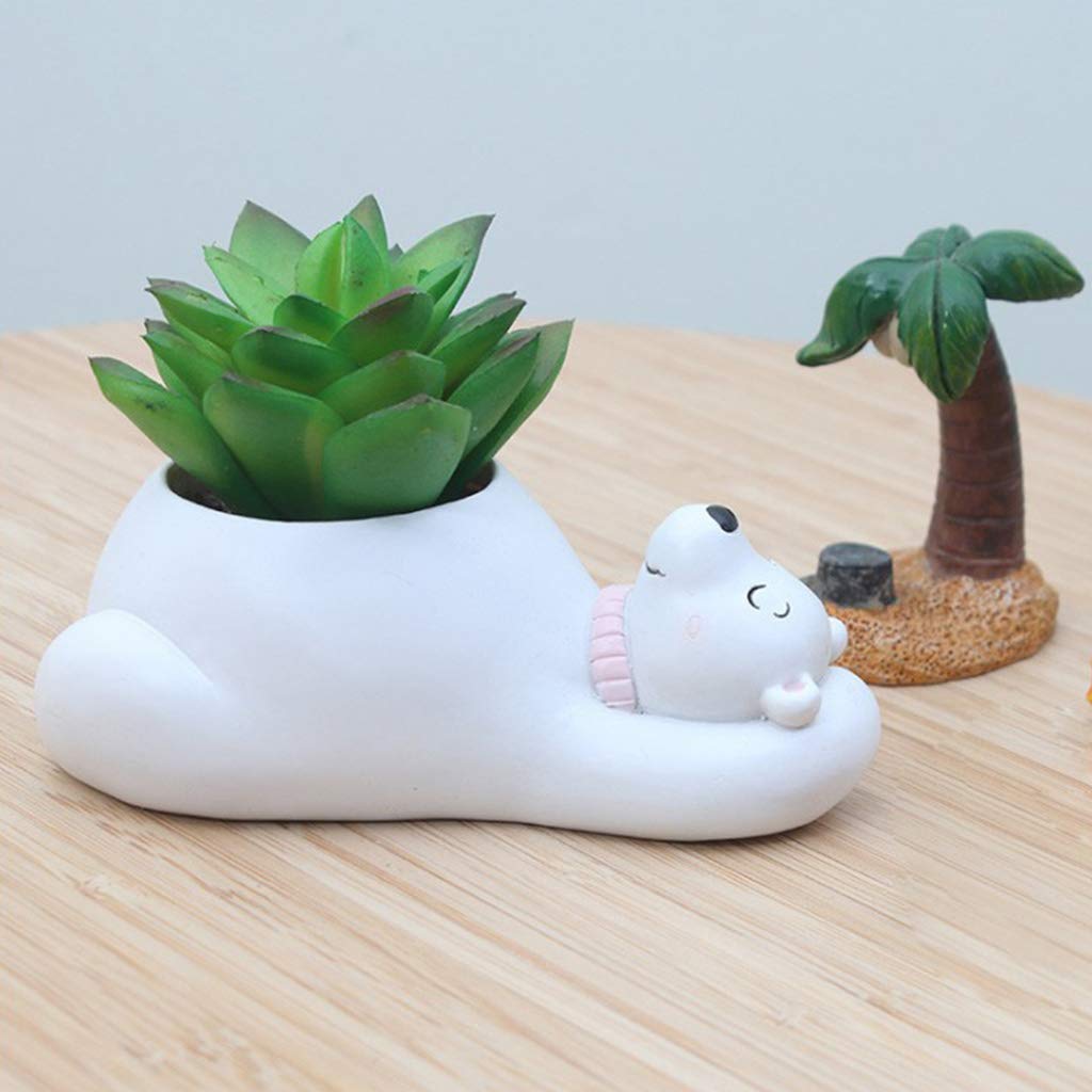 Maceteros de Animales - Divertidos Diseños de Animales para Suculentas y Cactus