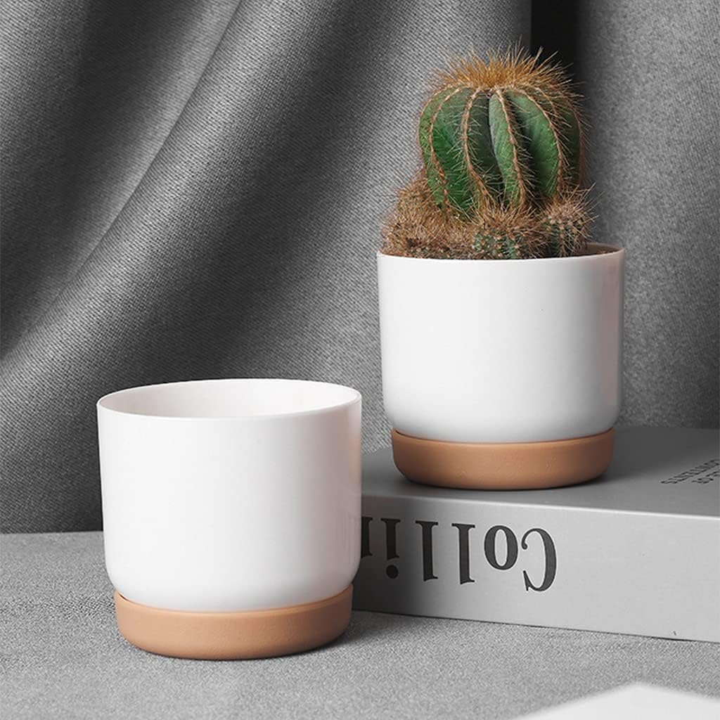 Maceta Autorriego para Orquídeas y Plantas - Maceta de Plástico Maceta Autorriego para Orquídeas y Plantas - Maceta de Plástico
