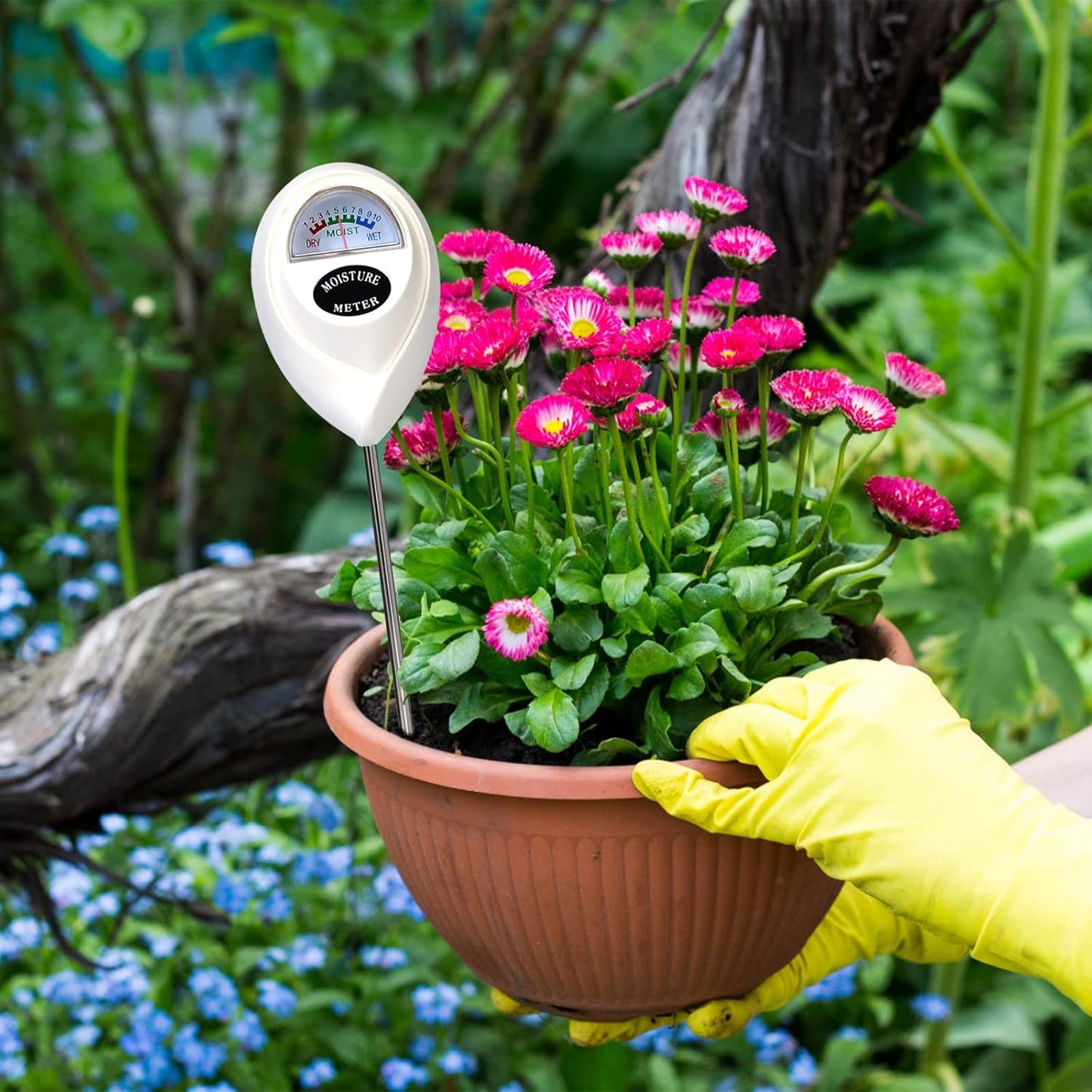 Medidor de Humedad Del Suelo para una Medición Precisa de la Humedad en el Suelo - Ideal para el Cuidado de las Plantas