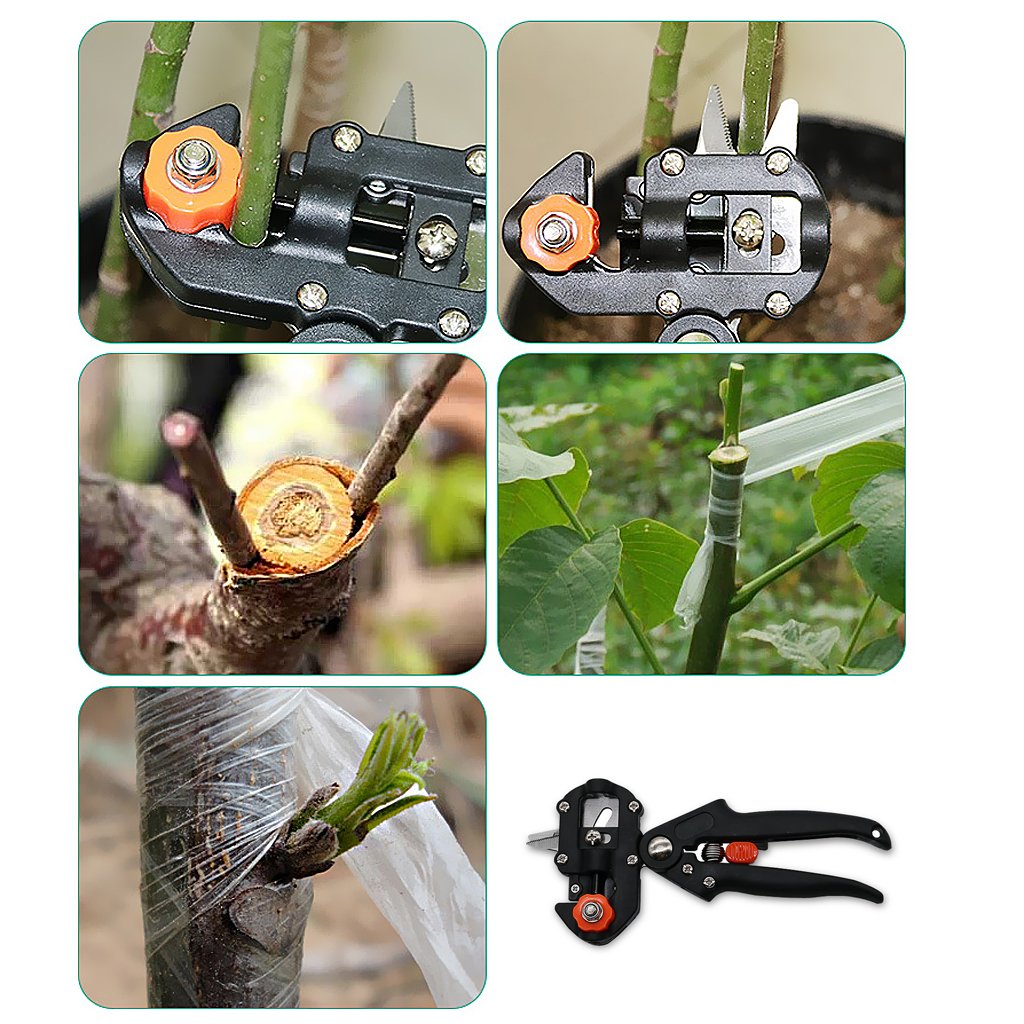 Juego de Herramientas de Injerto y Poda para un Injerto Preciso de Plantas Pinza de Injerto