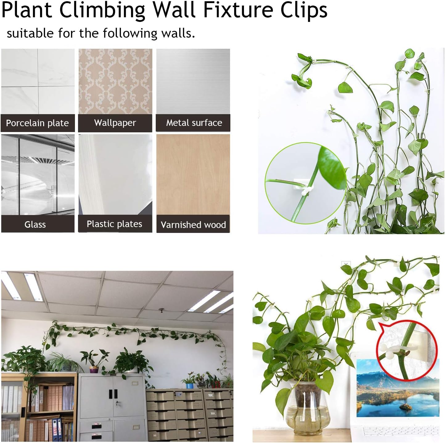 Pinzas de Sujeción a la Pared Trepadoras - Prácticos Soportes para Plantas para la Decoración de Paredes Pinzas de Sujeción a la Pared Trepadoras