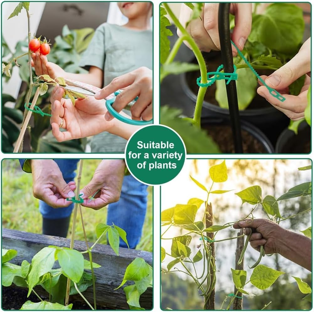 Juego de Bridas de Fijación para Plantas para una Fijación Estable de las Plantas