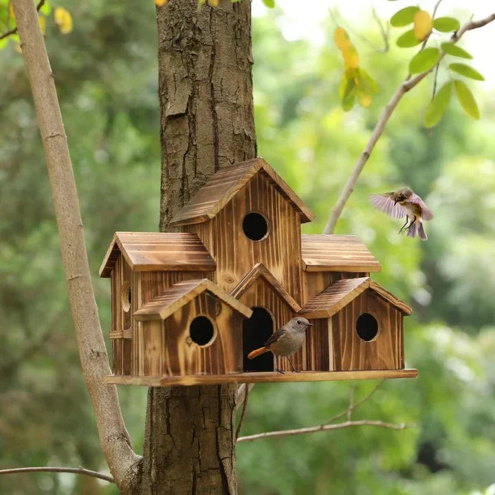 Casa para Pájaros Artesanal de 6 Agujeros