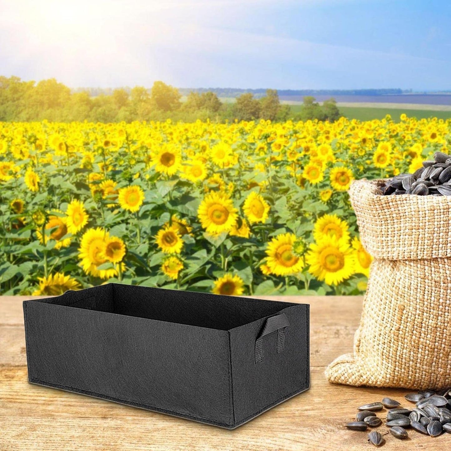 Caja De Fieltro Plegable Para Guardar Plantas Con Asas