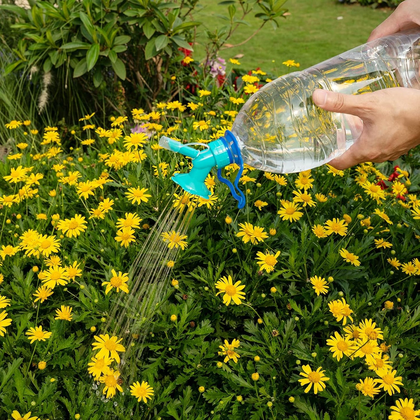 Pulverizador Para Plantas Con Forma De Flor Una Ayuda Creativa Para Regar Las Plantas Del Jardín Pulverizador Para Plantas Con Forma De Flor