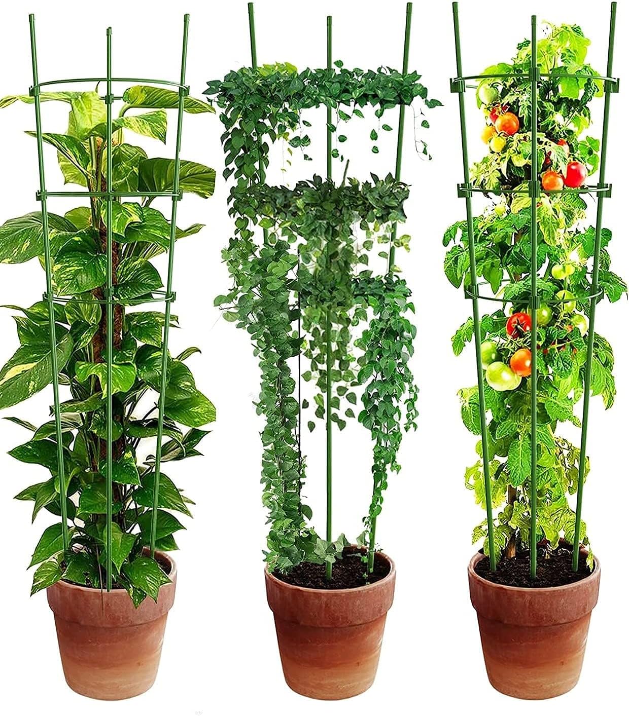 Armazón Trepador Para Plantas - Armazón De Anillas De Soporte Estable Para Plantas Trepadoras Armazón Trepador Para Plantas
