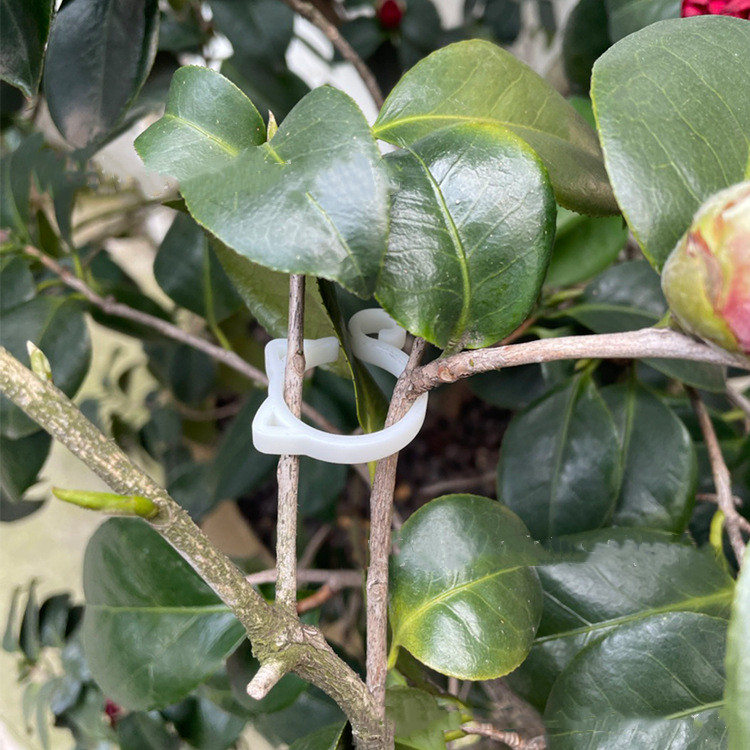 Pinza para Plantas con Forma de Gato - Simpático Soporte para Plantas de Jardín y de Interior