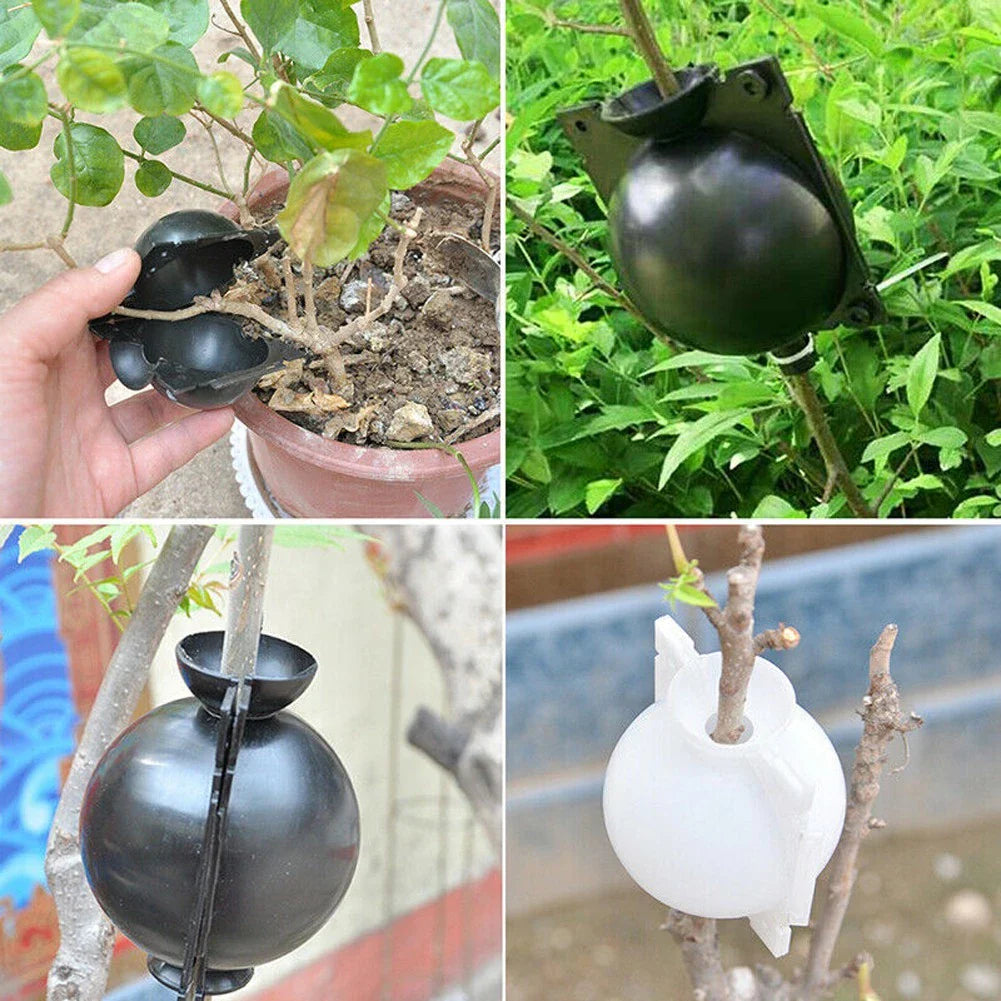Bolas Protectoras De Plantas Para Raíces - Tapones Protectores Para Un Trasplante Y Crecimiento Seguros