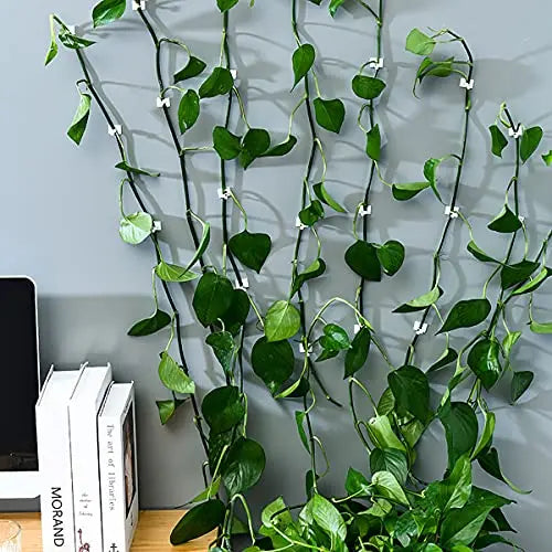 Pinzas de Sujeción a la Pared Trepadoras - Prácticos Soportes para Plantas para la Decoración de Paredes Pinzas de Sujeción a la Pared Trepadoras