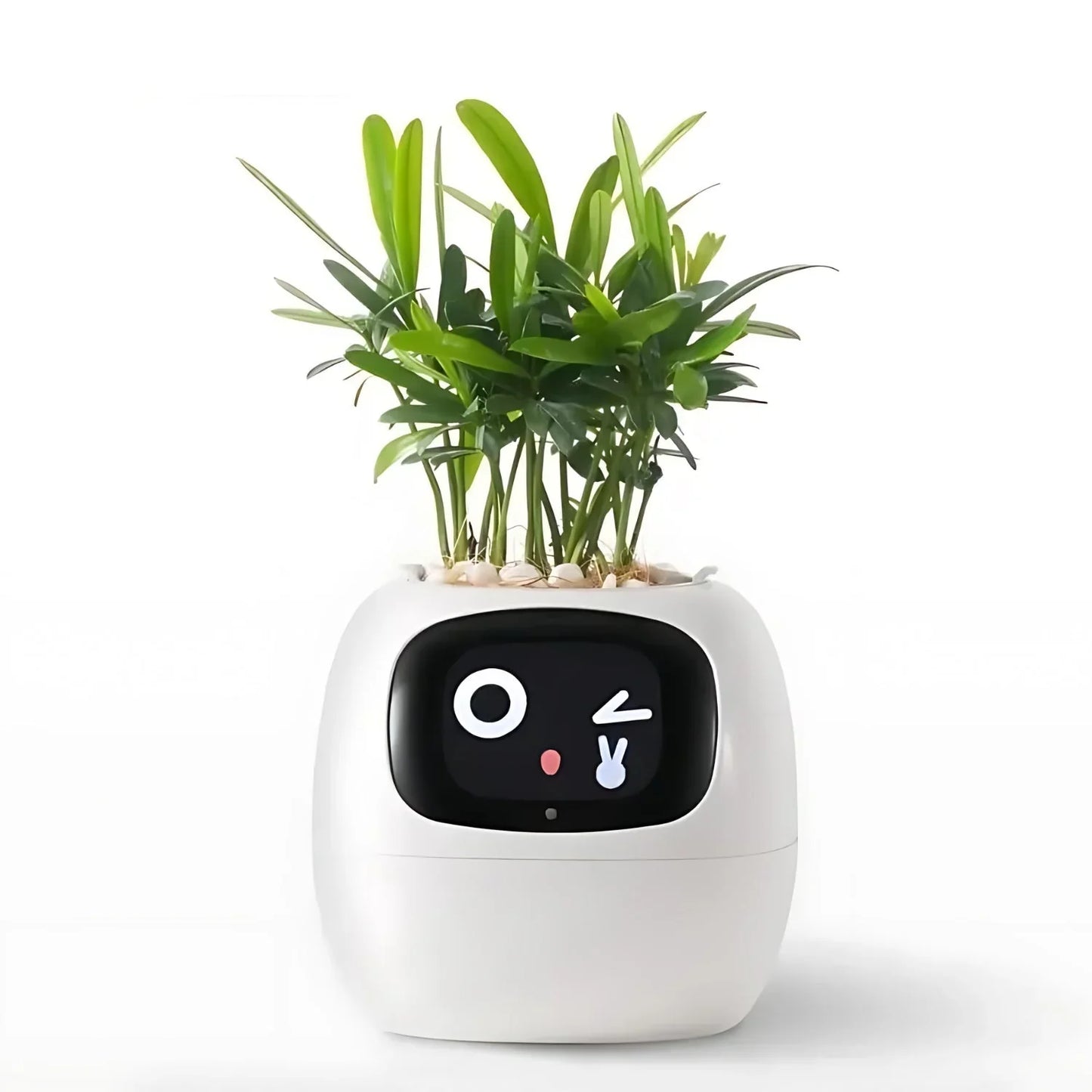 Maceta Inteligente Automática Con Sistema De Riego Y Luces LED