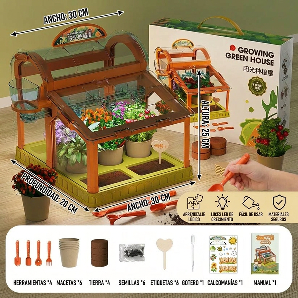 Invernadero LED para niños de acrílico – Kit de cultivo interior para aprendizaje lúdico y crecimiento de plantas