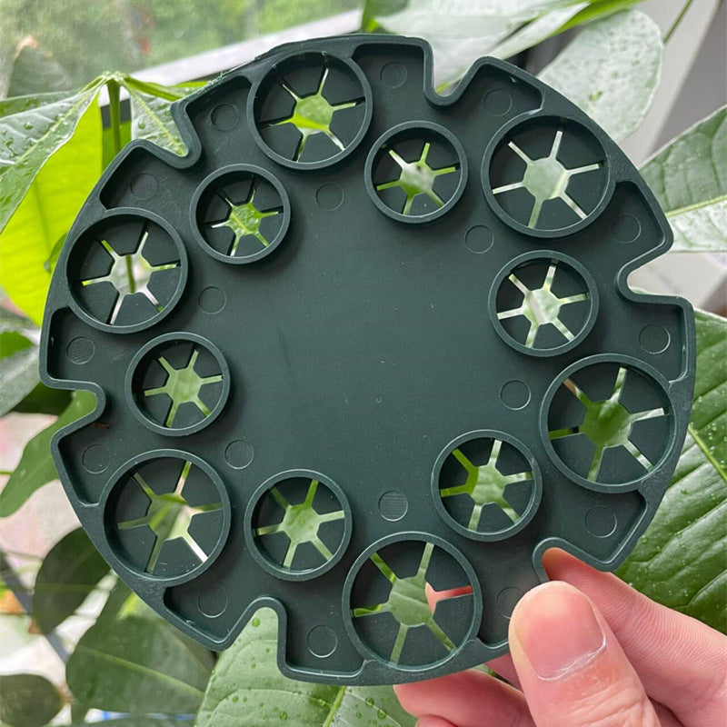 Anillo de Soporte para Plantas para Cañas de Bambú - Soporte Trepador Estable para Tomates y Plantas Trepadoras
