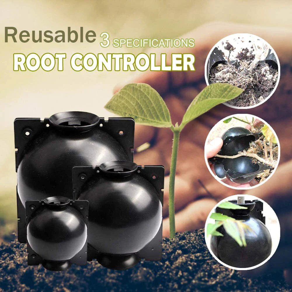 Bolas Protectoras De Plantas Para Raíces - Tapones Protectores Para Un Trasplante Y Crecimiento Seguros