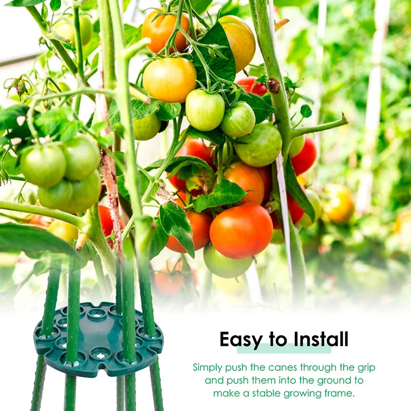Anillo de Soporte para Plantas para Cañas de Bambú - Soporte Trepador Estable para Tomates y Plantas Trepadoras
