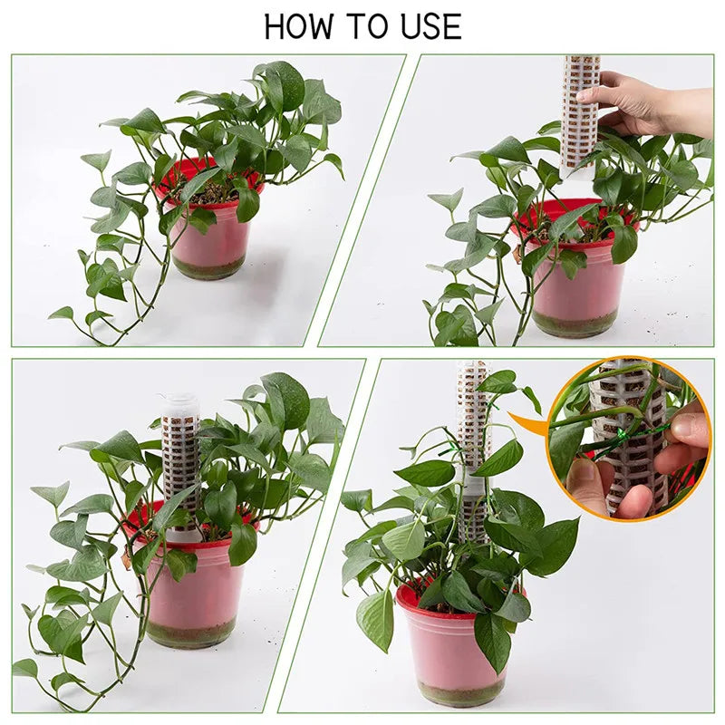 Pilares Para Plantas Trepadoras Y Plantas Verdes - Pilares De Soporte Para El Cultivo Vertical De Plantas Pilares Para Plantas Trepadoras Y Plantas Verdes
