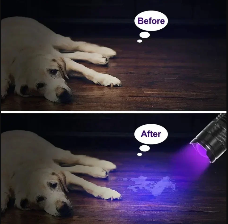 Linterna LED UV - Luz Ultravioleta para la Detección de Manchas y la Detección de Orina de Mascotas