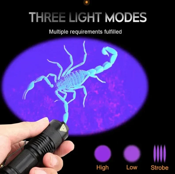 Linterna LED UV - Luz Ultravioleta para la Detección de Manchas y la Detección de Orina de Mascotas
