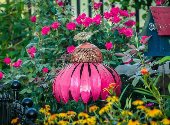 Comedero para Pájaros con Diseño de Flores Cuidado con los Pájaros