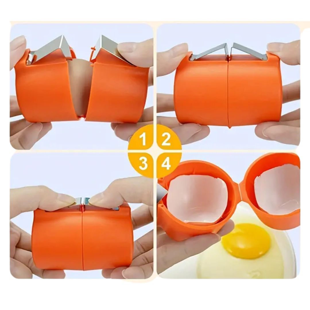 Práctico Abrehuevos
