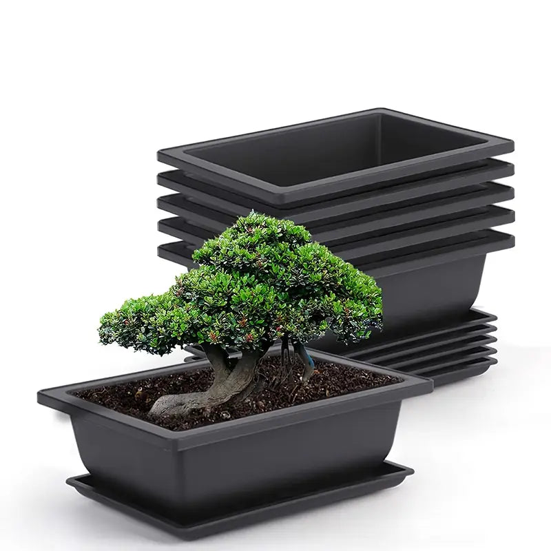 Maceta Con Platillo - Maceta Rectangular Para Jardín Y Balcón Maceta Con Platillo