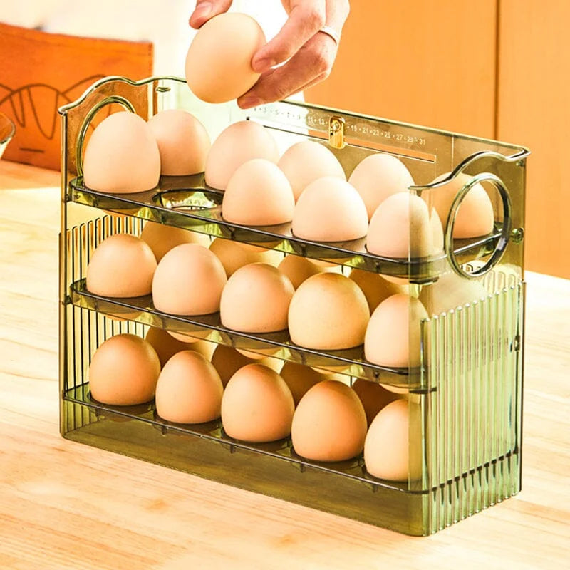 Práctico Organizador de Huevos