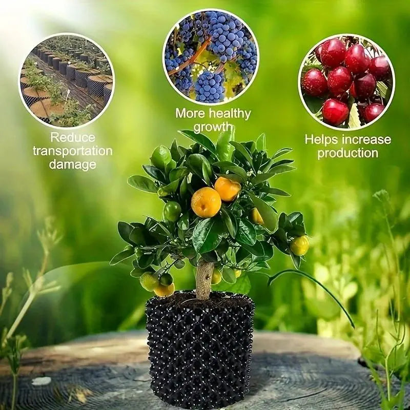 Dispositivo de Control de Raíces para Plantas y Jardinería para Promover un Crecimiento Sano