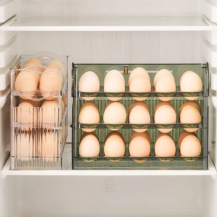 Práctico Organizador de Huevos
