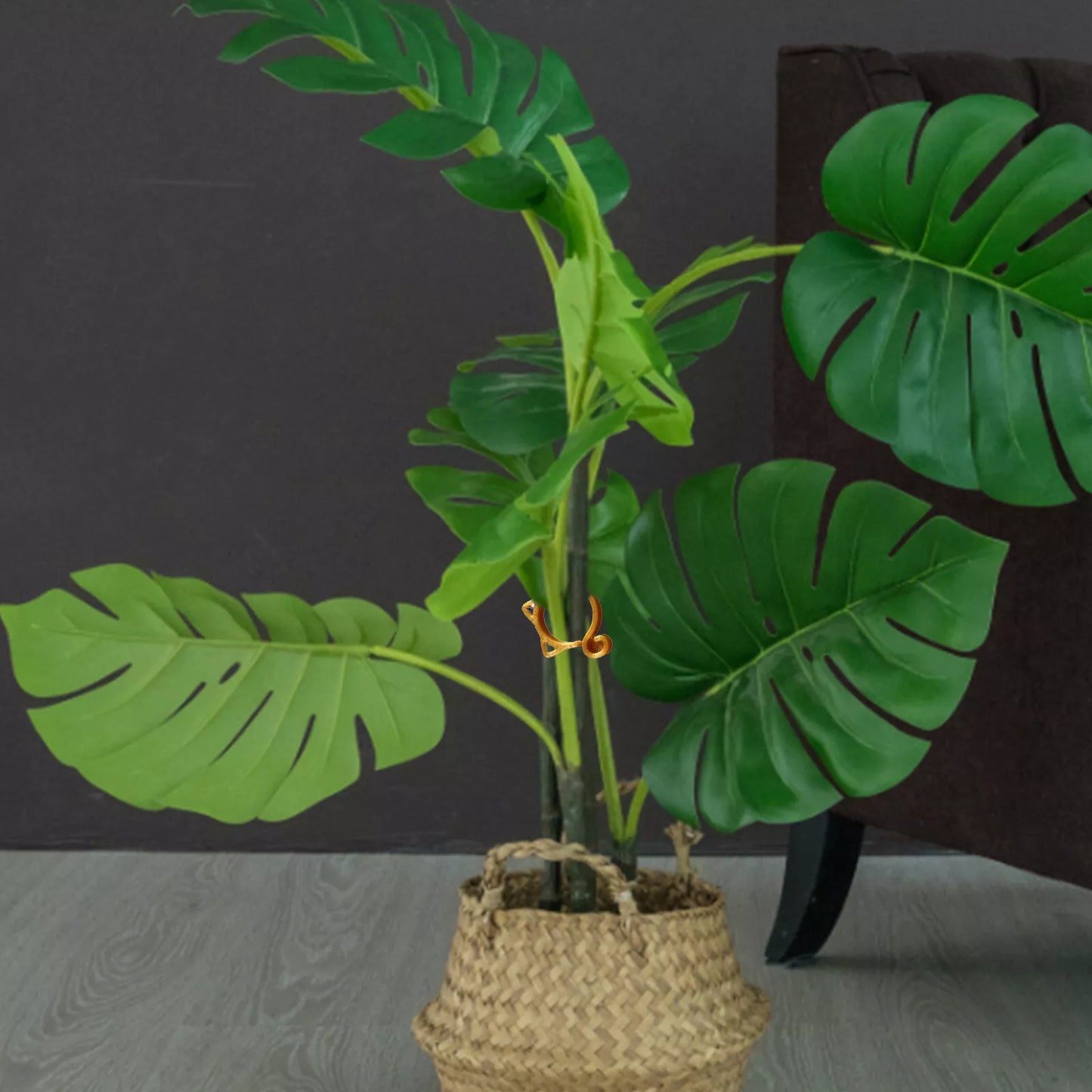 Pinza para Plantas con Forma de Gato - Simpático Soporte para Plantas de Jardín y de Interior